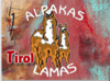 Tiroler Lama- und Alpakahalter 