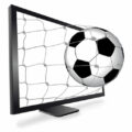 Fußballschule Hansi Kreische 