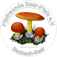 Pilzfreunde Saar-Pfalz e.V. 