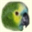 Papageienfreunde im Web 