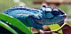 Reptira.de 