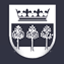 TSV Kronshagen 