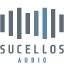 Sucellos Audio Musikproduktionen Birkenstraße Aachen