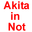 Akita in Not 