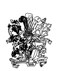 VDSt Mainz 