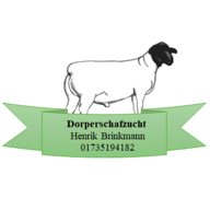 Schafzucht Henrik Brinkmann Harle Coesfeld