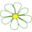 Blumen Metzger 