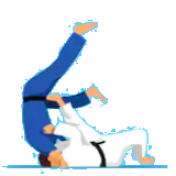 Judo Landesverband Burgenland 