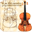 Stradivarishop, Inh. H.H. Uilderks 