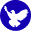 Hanauer Friedensplattform 