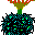 Notocactus 