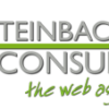 S-Consulting The Webagency, René Steinbach Menzelstraße Wien