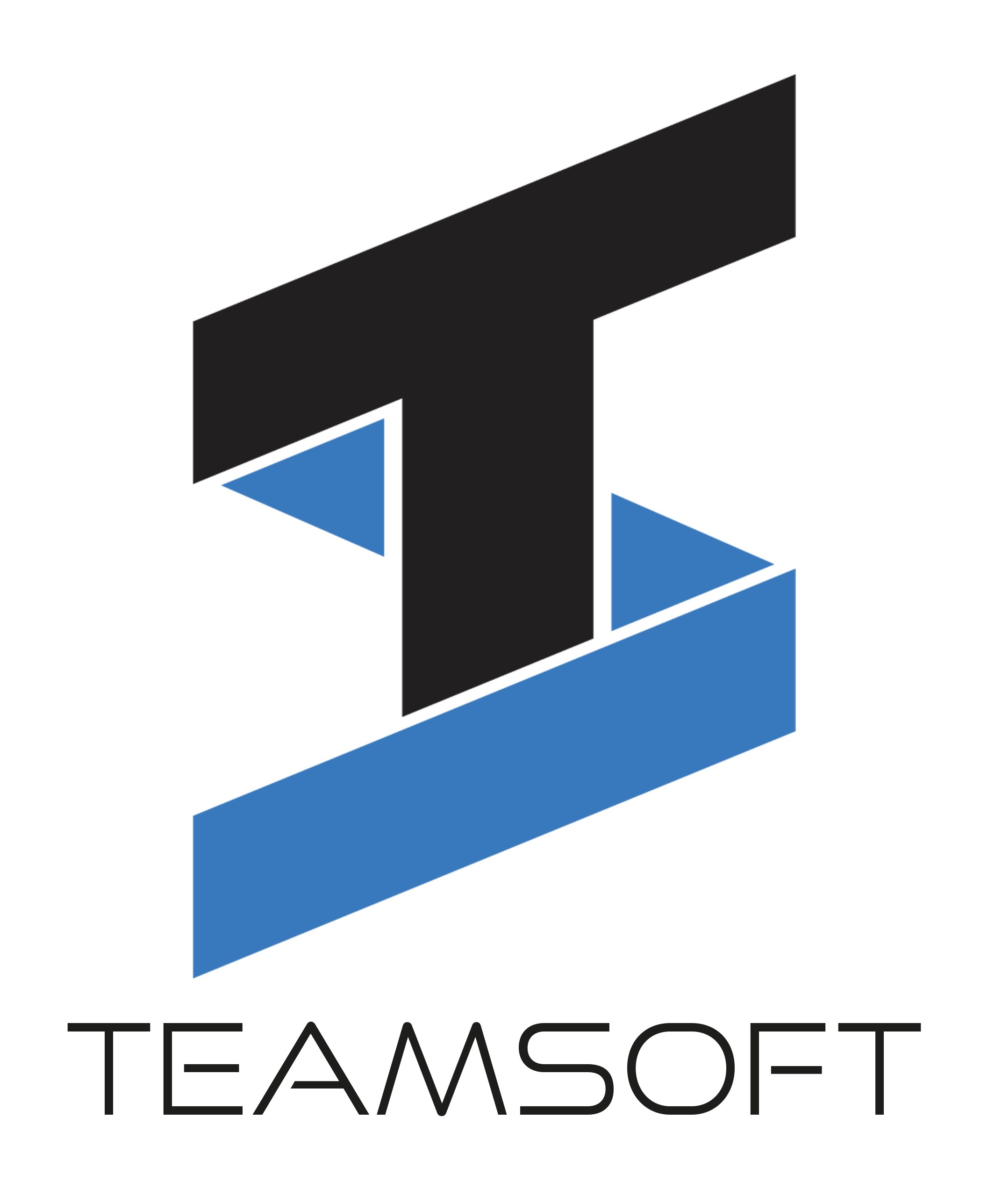 T.S. Team-Software GmbH 