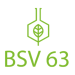 BSV 63 Chemie Weißensee e.V. 