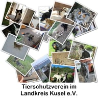 Tierschutz im Landkreis Kusel e.V 