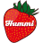 RReinhold Hummel GmbH + Co. KG 
