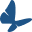 SVN GmbH Enschedestr Nordhorn