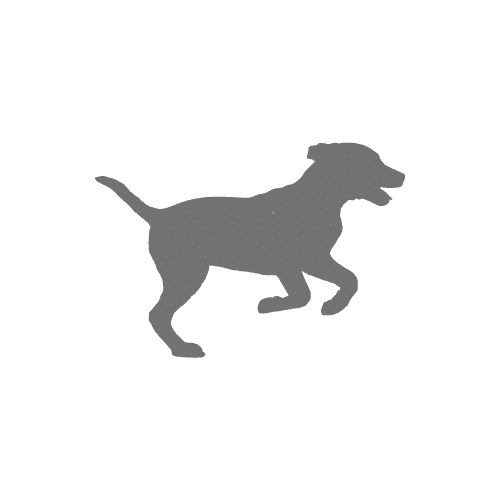 Milos Hundecollege Landstraße Waldfeucht