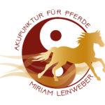 Akupunktur und Osteopathie für Pferde Miriam Leinweber Am Hanewinkel Holzerode