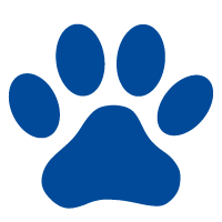 Foundation EURO-DOG Stiftung für heimatlose Hunde 